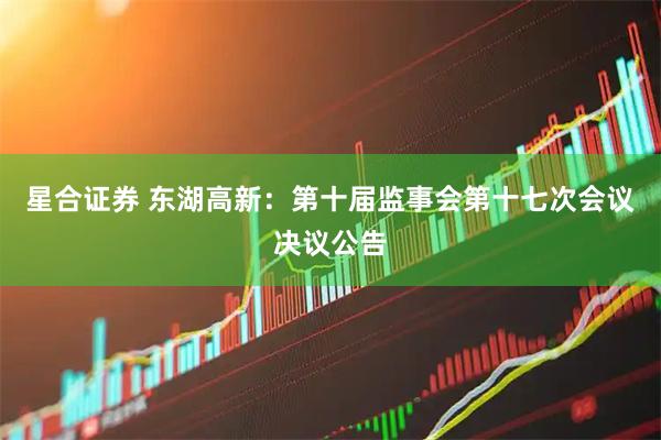 星合证券 东湖高新：第十届监事会第十七次会议决议公告