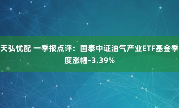 天弘忧配 一季报点评：国泰中证油气产业ETF基金季度涨幅-3.39%