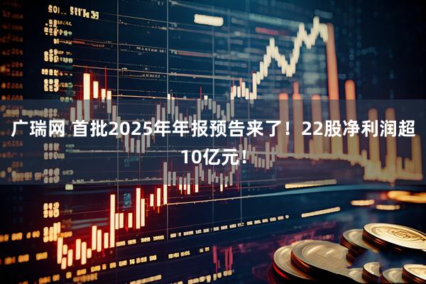 广瑞网 首批2025年年报预告来了！22股净利润超10亿元！